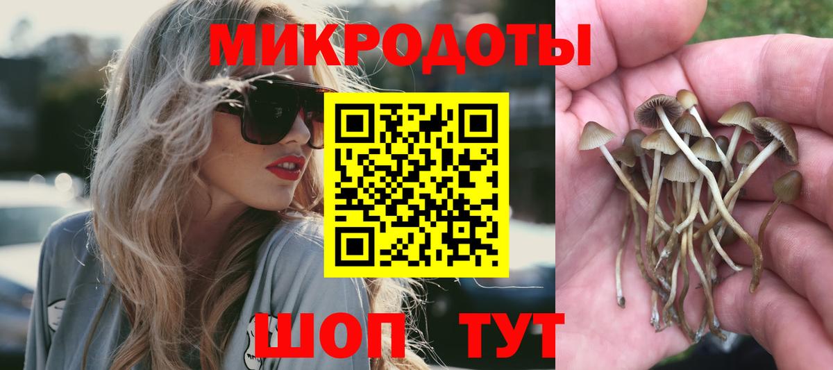 Галлюциногенные грибы Psilocybine cubensis Пушкино